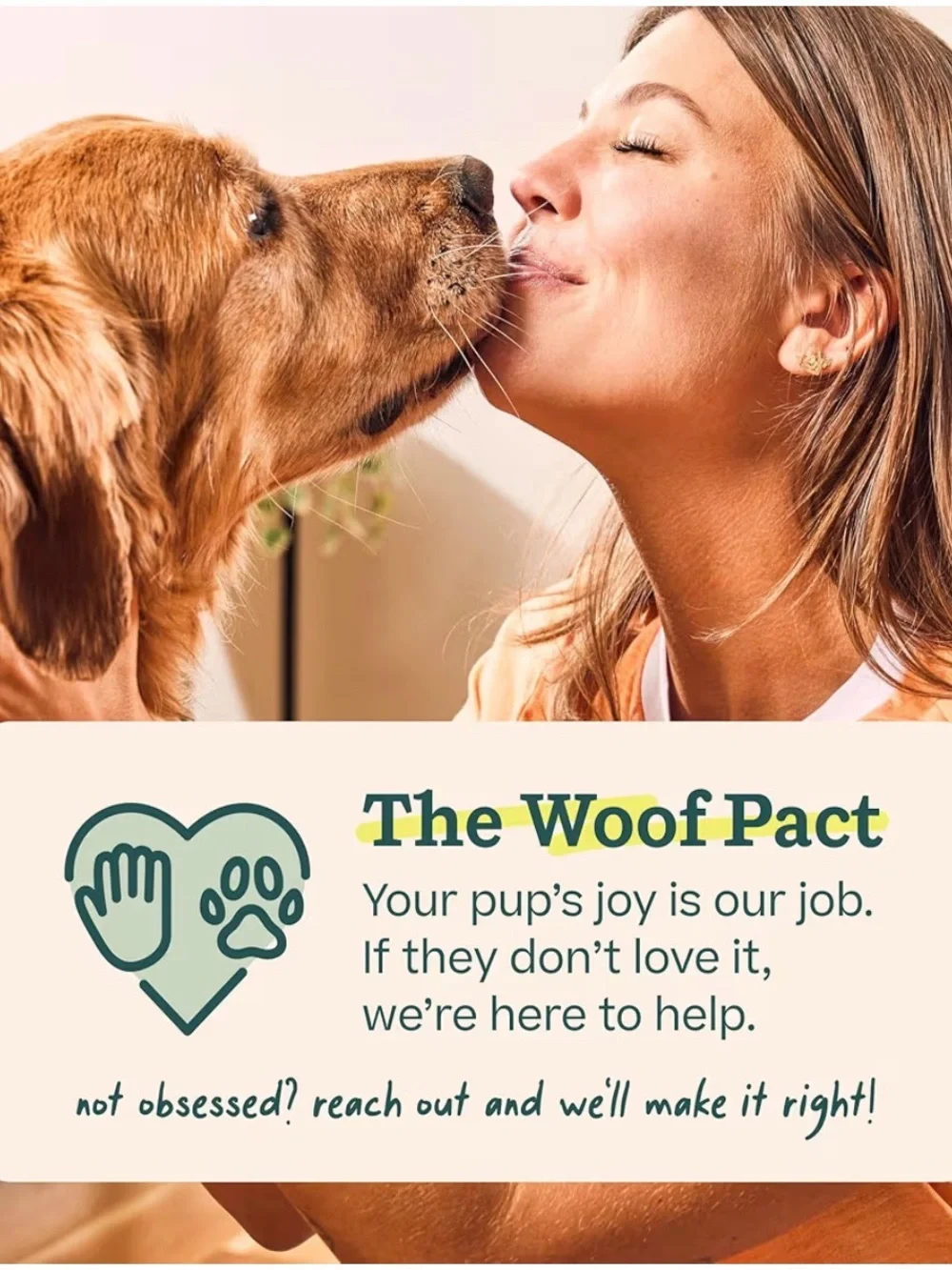 2~WOOF Pupsicle Refill Pops-Low-Mess Dog Snacks-with Peanut Butter & Chicken XL